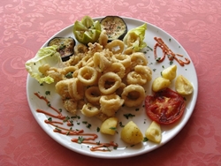 Fritto di calamari